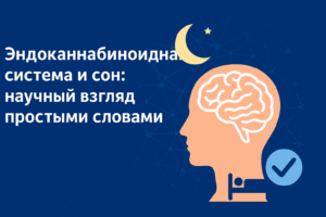 эес и сон